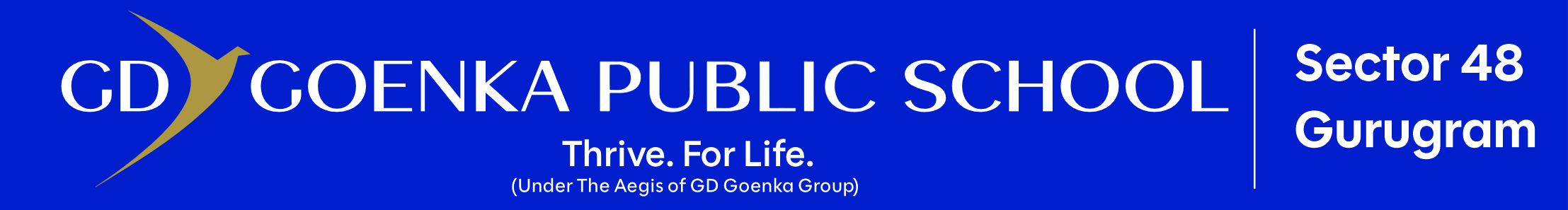 GD Goenka Public School