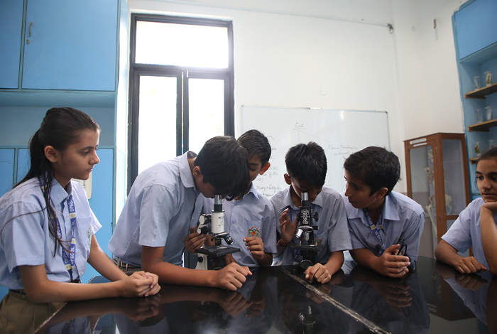 Junior Students