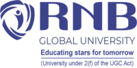 RNB Global University Logo