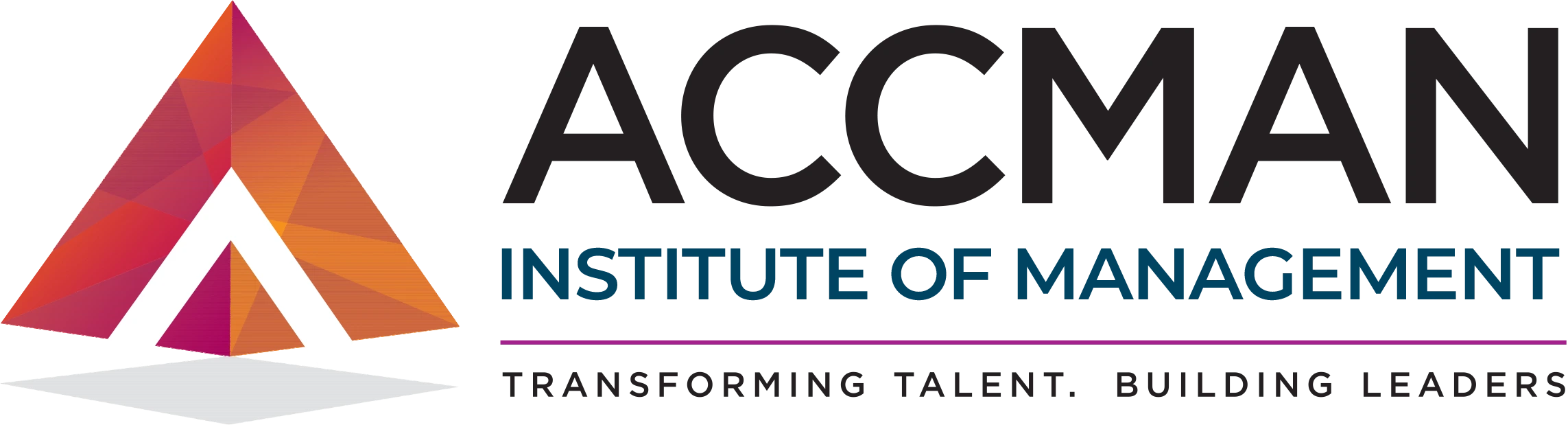 ACCMAN Logo