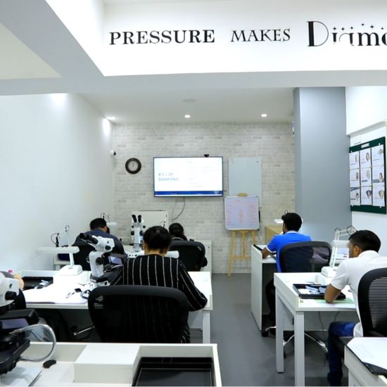 About IIG South
